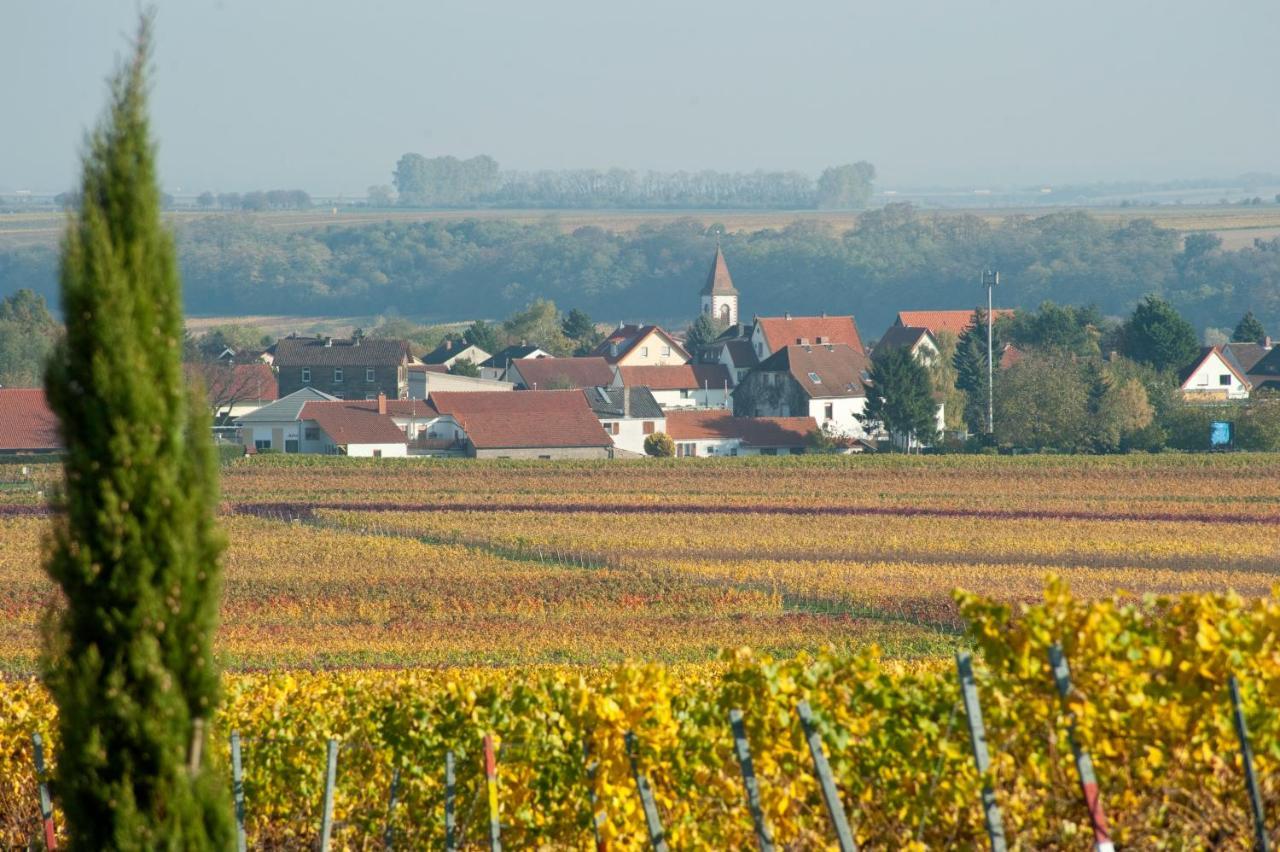 Gaestehaus & Weingut Peth Florsheim-Dalsheim المظهر الخارجي الصورة